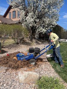 Our expert stump grinding service efficiently removes unsightly tree stumps, enhancing your landscape's appearance and preventing potential hazards, while promoting a clean, healthy environment for new growth in your yard. for Graham’s Tree Services in Pierce, CO