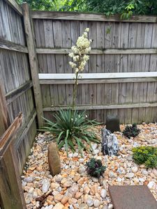 Our landscape design service transforms your outdoor space into a stunning, functional environment. We blend creativity and expertise to enhance aesthetics, boost property value, and bring your vision to life. for Beach Boy Grounds Maintenance LLC in Germantown, MD