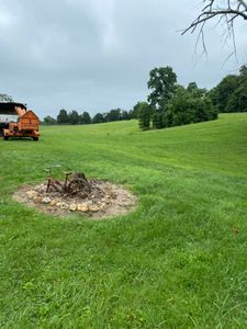 Our Stump Removal service efficiently eliminates tree stumps from your property, enhancing aesthetics and freeing up space for new landscaping projects. for Atwood’s Tree Care in Liberty,  KY