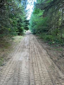 Our Roadbeds service provides durable, expertly crafted foundations for driveways or private roads, enhancing stability and longevity while ensuring smooth, reliable surfaces tailored to suit your specific property needs. for DCX LLC in Gresham, OR