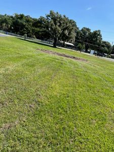 Discover our comprehensive Lawn Maintenance service, designed to keep your yard lush and healthy year-round. We offer expert mowing, trimming, and fertilization tailored to meet your lawn's unique needs. for Duck's Lawn & Tree Service, LLC. in Lakeland, FL
