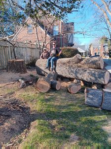 Transform your outdoor space with our expert landscape and design services, enhancing beauty and functionality. Our team creates tailored environments that complement your home while promoting sustainable, healthy growth. for The Webster Tree Service in Danville, VA