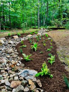 Transform your outdoor space with our expert landscape design service, offering innovative commercial landscaping solutions that enhance aesthetic appeal and functionality for a picture-perfect property. for Christina King Landscape Design in West Raleigh, NC