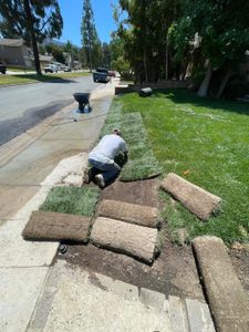 Sod installation is a great way to improve the look of your lawn quickly and easily. We can install sod for you, or help you do it yourself. for Cortez Landscape & Tree service in Corona, CA
