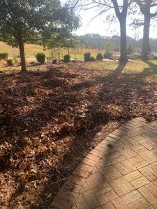Our Fall and Spring Clean Up service includes leaf raking, yard clean up, and mulching for a neat and tidy lawn. for Alligator Lawn Care LLC in Siler City, North Carolina