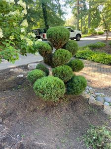 Shrub pruning can transform your property. Our experienced landscapers will rid your home overgrowth and keep your shrubs looking immaculate. for Reliable Landscape in Monclova, Ohio