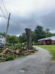 Enhance your property's safety and aesthetics with our professional tree removal service, offering efficient, careful extraction to eliminate hazardous or unwanted trees while preserving the beauty of your landscape. for Harley’s Tree Service in Palmer, MA