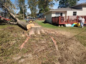 We offer professional tree removal services to homeowners, ensuring safe and efficient removal of unwanted or hazardous trees from your property. for Billiter's Tree Service, LLC in Rootstown, Ohio