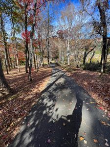 Our Fall Clean Up service ensures your yard looks immaculate, handling leaf removal and garden maintenance efficiently. Trust our experts for seamless fall and spring clean up that prepares your landscape beautifully. for SkyLimit LawnCare in Asheville, NC