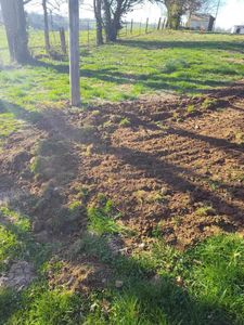 Our Land Clearing service efficiently and safely removes unwanted vegetation, trees, and debris from your property to prepare it for new construction or landscaping projects with minimal disruption. for Backyard Makeovers in  Lancaster, KY
