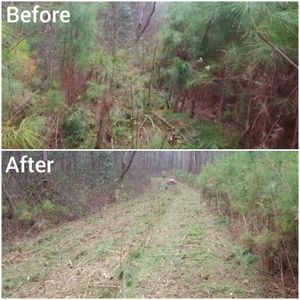 We can help with tree and brush removal, R.O.W reclamation and mowing to ensure proper Right of Way needs are met. for Fayette Property Solutions in Fayetteville, GA
