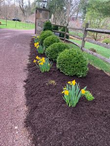 Our Shrub Trimming service provides homeowners with a professional trimming of their shrubs to keep them looking neat and tidy. We use only the best equipment and techniques to get the job done right. for Ovidio's Landscaping in Westchester County, NY