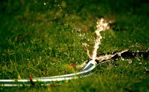 Enhance your property's health and beauty with our expert Drainage Services, ensuring optimal water flow and preventing damage. Trust us to protect your landscape from flooding while promoting vibrant growth. for Hennessey Tree & Landscape LLC in Oxford,  CT 