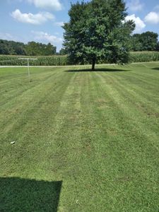 Our professional mowing service ensures your lawn remains in pristine condition, providing you with a beautifully manicured space to enjoy and enhance the curb appeal of your home. for Grow N Mow  in Oxford, PA