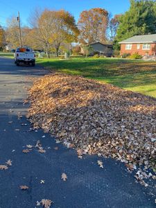 "Our Fall and Spring Clean Up service ensures your outdoor space is well-maintained throughout the year, offering comprehensive debris removal, leaf raking, and landscape rejuvenation for a pristine lawn. for Quiet Acres Landscaping in Dutchess County, NY