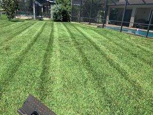 Our Sod Installation service offers homeowners a quick and hassle-free solution to achieve a lush, green lawn by professionally installing fresh sod with guaranteed results. for Tolliver’s landscape LLC in Palm Bay, FL