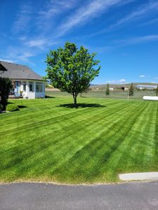 Our Lawn Care service offers comprehensive and reliable maintenance solutions for homeowners, ensuring a beautifully manicured yard that enhances the overall appeal of your property. for Yeti Snow and Lawn Services in Helena, Montana