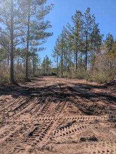 Discover what is land clearing with our expert service, transforming overgrown areas into pristine landscapes. We efficiently remove trees, brush, and debris to prepare your property for construction or landscape improvement. for TDWS Land Management in Blackshear, GA