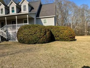 Our Shrub Trimming service ensures that your shrubs are properly maintained, enhancing the beauty of your landscape and adding a polished look to your property. for Young’s Landscaping and Maintenance  in Jasper,  AL