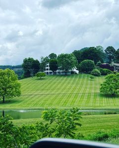 Our professional mowing service offers efficient lawn care solutions tailored to meet your specific needs, ensuring a beautifully maintained yard that enhances the overall appeal of your home. for Chatuge Outdoor Services in Hayesville, NC