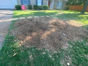 Our Stump Removal service efficiently and safely eliminates tree stumps from your property, enhancing the aesthetics of your landscape while ensuring a hazard-free environment. for DIAZ TREE in Stafford, VA