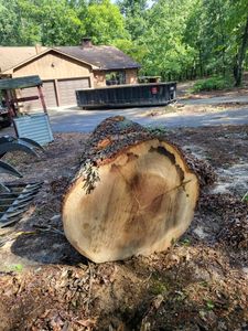 Our professional Tree Removal service provides homeowners with safe and efficient removal of unwanted or hazardous trees, ensuring the safety and aesthetics of your property. for Smitty's Tree Service in Ringgold, VA