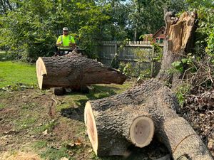 Our Stump Removal service offers homeowners a hassle-free solution to completely remove any unsightly stumps from their property, ensuring a clean and attractive landscape. for Logan Tree Care LLC in Springfield, MO