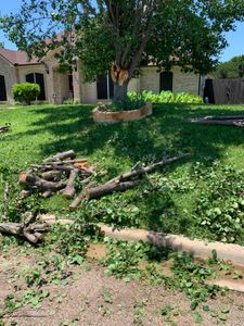 Our Tree Removal service expertly handles the safe and efficient removal of unwanted trees, complementing our comprehensive junk removal solutions to ensure your property is clean, spacious, and hazard-free. for Father & Son Lawn Care in Harker Heights, TX