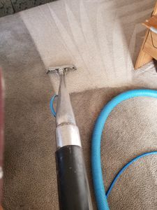 Our Move Out Carpet Cleaning service ensures a thorough cleaning of your carpets before you leave your home, guaranteeing a fresh and hygienic space for the next occupant. for Pro Clean Carpet Care in Sierra Vista, AZ