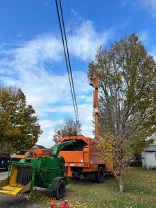 Our Tree Service offers professional and efficient tree care and removal, ensuring the safety and beauty of your property's landscape is maintained to its highest standards. for Transforming Landscaping & Tree Service in Bowling Green, KY