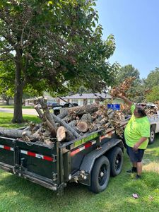 Our professional Tree Removal service provides efficient and safe removal of unwanted or hazardous trees, enhancing safety and aesthetics for your property. for Logan Tree Care LLC in Springfield, MO