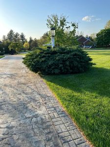 Our Fall and Spring Clean Up service helps homeowners maintain a neat and orderly landscape by thoroughly clearing debris, leaves, and other seasonal clutter from their yards. for Cincinnati’s Finest Landscape Services LLC in Cincinnati, OH