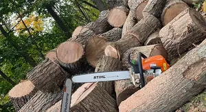 We provide professional tree services to help maintain and enhance the beauty of your home's landscaping. for Hennessey Landscaping LLC in Oxford,  CT 