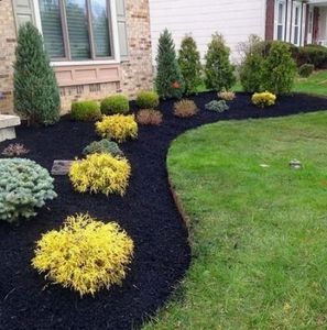 Our shrub trimming service enhances your landscape's beauty, promotes healthy plant growth, and maintains tidy bushes. Trust our experts for precise cutting and exceptional care for a vibrant outdoor space all year round. for Curb Appeal Lawn Care in Kansas City, Kansas