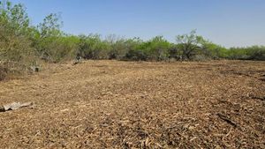 Our Land Clearing & Demolition service expertly removes unwanted brush and vegetation, preparing your property for new projects with precision and care, ensuring safety while enhancing the land's potential for future use. for Hernandez Land Clearing Services in Alice, TX