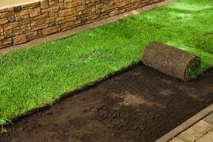 Sod Installation - We will remove your old sod, grade the area, install new sod and roll it in for a perfect finish. for Ornelas Lawn Service in Lone Oak, Texas