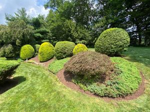 From Trimming to Weeding to Live Edges to Weed preventatives to Mulching, We cover all aspects of your properties beds upon signing up for Bed Maintenance! for Ace Landscaping in Trumbull, CT