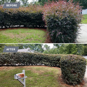 Our Shrub Trimming service ensures your garden's shrubs are professionally maintained, enhancing the overall beauty and aesthetic appeal of your outdoor space. for Down & Dirty Lawn Svc  in Tallahassee, FL