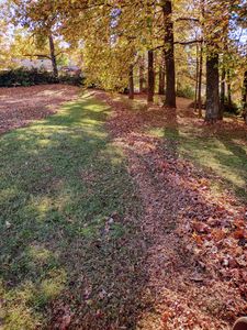 Our Fall and Spring Clean Up service helps homeowners maintain a neat and tidy lawn. We will clear away leaves, debris, trim shrubs, and more! for Freedom Works Lawnscaping in Dyer County, Tennessee