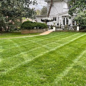 Our fertilization service helps to provide the essential nutrients your lawn needs to stay healthy and lush all season long. We will work with you to create a custom plan that fits your specific needs and budget. for The Right Price Right Choice Lawn Care Services in Murfreesboro, TN