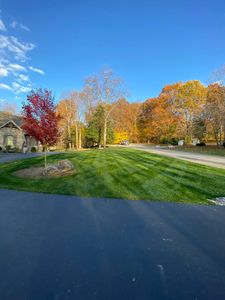 Our Full Service Lawn Care program is perfect for homeowners who want the convenience of a one-stop shop. We'll take care of everything from curbing your lawn's weed growth to applying pre-emergent herbicides to protect your turf against pests. for Precision Lawn and Outdoor Services in Bowling Green, Kentucky