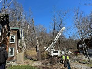 Our Tree Removal service safely removes hazardous, damaged, or unwanted trees from your property using professional equipment and expert care, protecting your home, landscape, and family while ensuring efficient cleanup. for All American Tree Services LLC in Dallas, PA