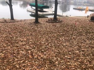 Our Fall and Spring Clean Up service includes the removal of leaves, branches, and other debris from your property. We'll also trim any overhanging tree limbs to keep them from damaging your home or property. for Battle Lawn Maintenance in Eatonton, GA