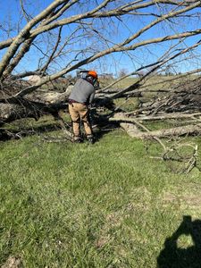 Our Tree Removal service safely and efficiently handles unwanted or hazardous trees on your property. Trust our skilled team to protect your landscape while ensuring minimal disruption and complete debris removal. for New Horizon Contracting in Bardstown, KY