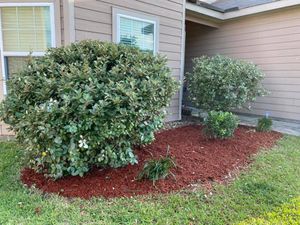 Our Shrub Trimming service ensures that your shrubs are expertly pruned and shaped, enhancing the overall appearance of your yard and adding value to your home. for The Lawn Care Brother’s in Brookshire,  TX