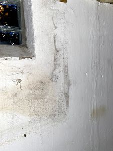 Our Mold Consultation service offers homeowners expert advice on identifying and assessing mold damage in their property, helping them make informed decisions for effective restoration and prevention. for Mold No More LLC in Clinton Township, MI