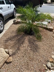 Enhance your landscape with our expert Sprinkler System Installation, ensuring lush lawns and gardens, while perfectly complementing our mulch installation services for optimal moisture retention and garden health. for Ramirez Landscaping in El Mirage, AZ