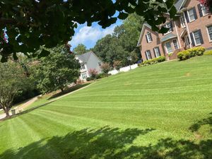 Our Residential Commercial Lawn care service offers comprehensive and high-quality landscaping solutions for homeowners, ensuring a well-maintained and visually appealing outdoor space. for Hipp's Land Management in Tryon, NC