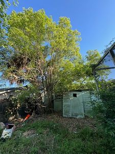 Our Property Clean-Up service offers professional fall and spring clean up to ensure your yard looks pristine, removing debris and preparing your landscape for the changing seasons efficiently and thoroughly. for Elevation Tree Service in Holiday, FL