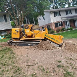 Our Stump Removal service efficiently eliminates unsightly stumps, enhancing your property's appearance and safety while creating space for new landscaping opportunities, ensuring a seamless blend with your existing outdoor environment. for W D Giampa Lawns and Landscape Inc. in Independent Hill, VA